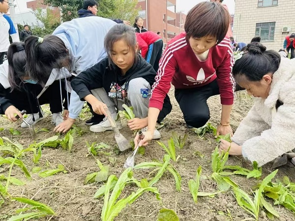 e006ecc494154a549b4ba1db8c65e7ba.jpg e006ecc494154a549b4ba1db8c65e7ba.jpg